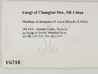 登錄號:F0006218藏品圖，第2張