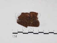 登錄號:F0006218藏品圖，第3張