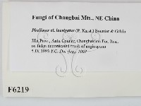 登錄號:F0006219藏品圖，第2張