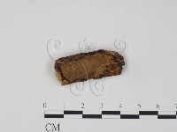 登錄號:F0006219藏品圖，第3張