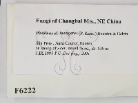 登錄號:F0006222藏品圖，第2張