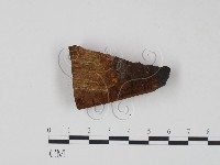 登錄號:F0006222藏品圖，第3張