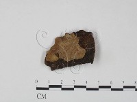 登錄號:F0006224藏品圖，第1張