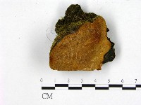 登錄號:F0006225藏品圖，第1張