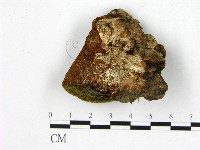 登錄號:F0006225藏品圖，第3張