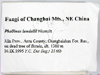 登錄號:F0006226藏品圖，第2張