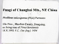 登錄號:F0006227藏品圖，第2張