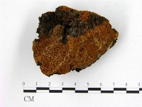 登錄號:F0006227藏品圖，第3張