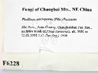 登錄號:F0006228藏品圖，第2張