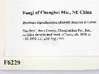 登錄號:F0006229藏品圖，第2張