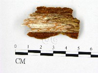 登錄號:F0006229藏品圖，第3張