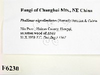 登錄號:F0006230藏品圖，第2張