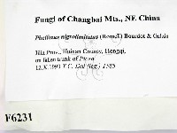 登錄號:F0006231藏品圖，第2張