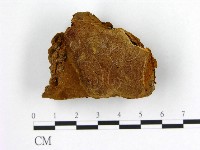 登錄號:F0006231藏品圖，第1張