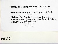 登錄號:F0006232藏品圖，第2張