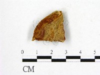 登錄號:F0006232藏品圖，第1張