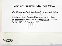 登錄號:F0006233藏品圖，第2張