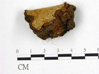 登錄號:F0006233藏品圖，第1張