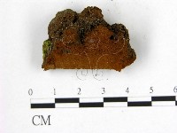 登錄號:F0006233藏品圖，第3張