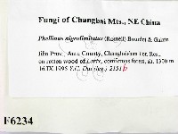 登錄號:F0006234藏品圖，第2張