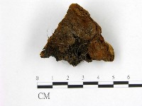 登錄號:F0006234藏品圖，第1張