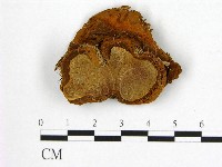 登錄號:F0006235藏品圖，第1張