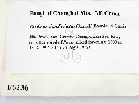 登錄號:F0006236藏品圖，第2張