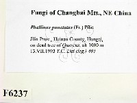 登錄號:F0006237藏品圖，第2張