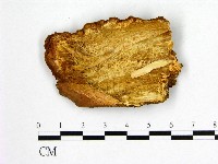 登錄號:F0006238藏品圖，第3張