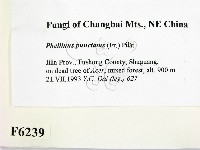 登錄號:F0006239藏品圖，第2張