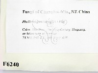 登錄號:F0006240藏品圖，第2張