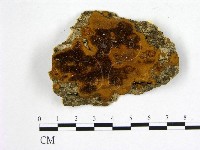 登錄號:F0006240藏品圖，第1張