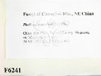 登錄號:F0006241藏品圖，第2張