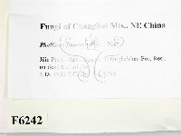 登錄號:F0006242藏品圖，第2張