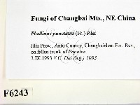 登錄號:F0006243藏品圖，第2張