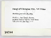 登錄號:F0006244藏品圖，第2張