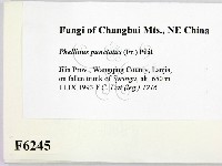 登錄號:F0006245藏品圖，第2張