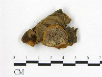 登錄號:F0006246藏品圖，第1張