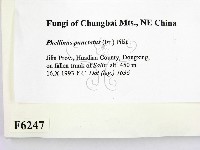 登錄號:F0006247藏品圖，第2張