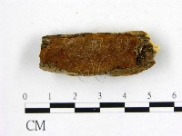 登錄號:F0006248藏品圖，第1張