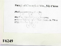 登錄號:F0006249藏品圖，第2張