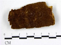 登錄號:F0006249藏品圖，第1張