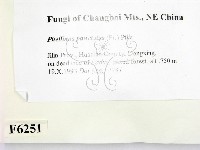 登錄號:F0006251藏品圖，第2張