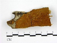 登錄號:F0006253藏品圖，第1張