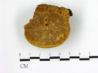 登錄號:F0006254藏品圖，第1張