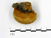 登錄號:F0006254藏品圖，第3張