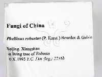 登錄號:F0006255藏品圖，第2張