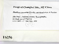 登錄號:F0006256藏品圖，第2張