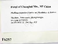 登錄號:F0006257藏品圖，第2張