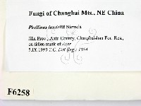 登錄號:F0006258藏品圖，第2張